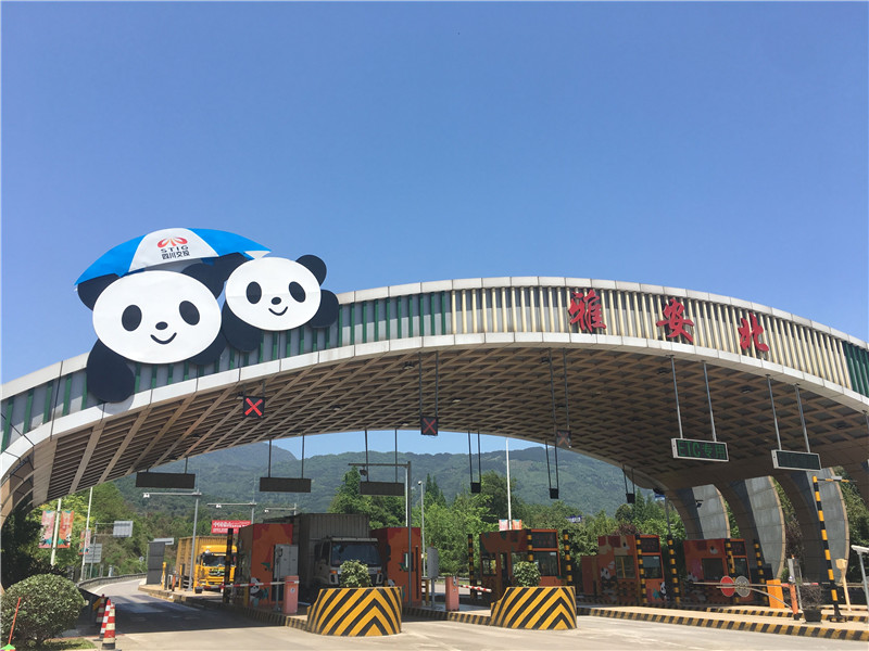 4雅安北站熊猫撑上雨伞了 何静拍摄